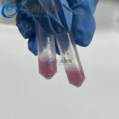 冷凍研磨儀助力動(dòng)物睪丸組織蛋白、DNA 及 RNA 高效提取實(shí)驗(yàn)案例