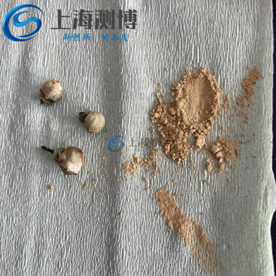 低溫破壁新突破！冷凍研磨儀解鎖山茶花活性成分高效提取密碼